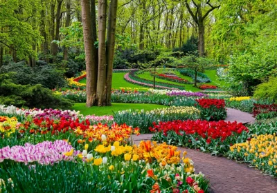 The Best Time to Visit Keukenhof Gardens