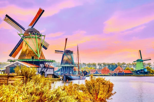 Amsterdam City & Countryside Tour: The Best of both Worlds