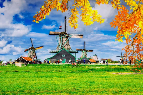 Amsterdam Layover: Airport Transit City Tour or Zaanse Schans