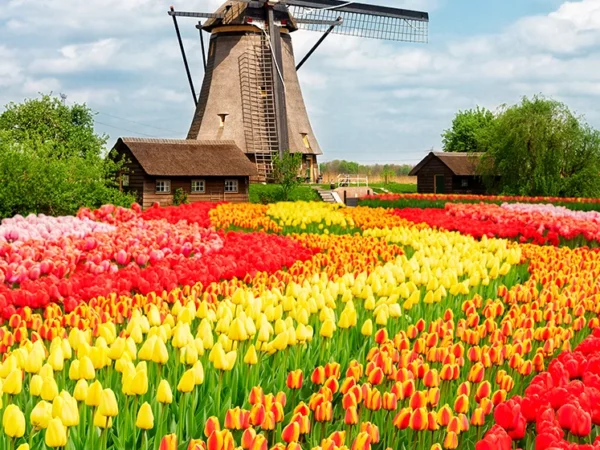 Keukenhof & FlowerFarm Tour From Amsterdam Skip-The-Line tickets