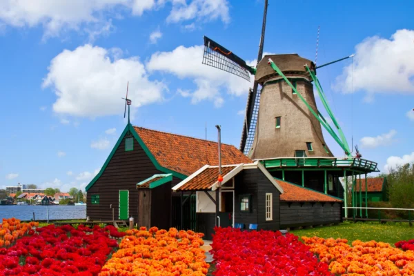 Volendam & Zaanse Schans PrivateTour: ijmuiden Felison cruiseship