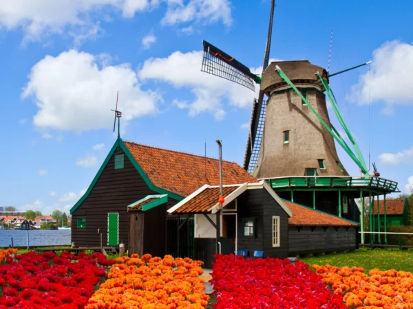 Volendam & Zaanse Schans PrivateTour: ijmuiden Felison cruiseship
