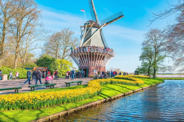 Keukenhof & FlowerFarm Tour From Amsterdam Skip-The-Line tickets