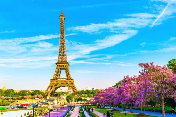Paris to Amsterdam: Convenient Luxury Transfer