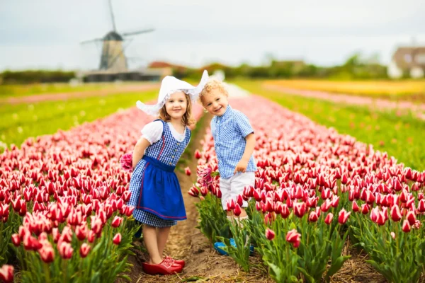 Private Day-trip to Keukenhof Gardens: Millions of Flowers in Bloom