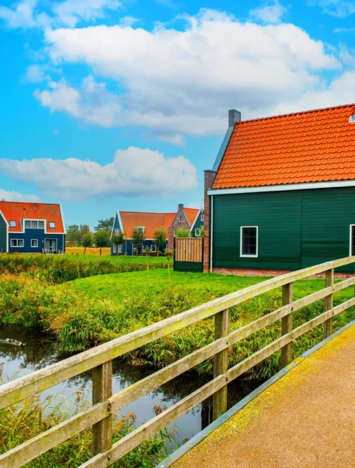 Volendam & Zaanse Schans PrivateTour: ijmuiden Felison cruiseship