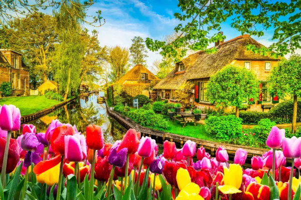 Zaanse Schans Giethoorn Private Tour from Amsterdam Canal Cruise