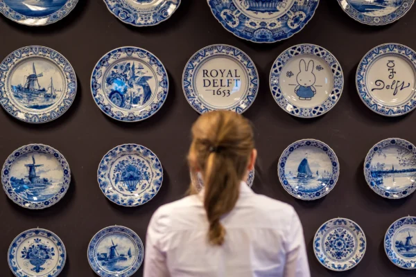 privatetour Delft, The Hague&Rotterdam Kinderdijk from Amsterdam