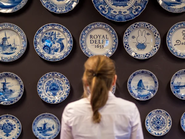 privatetour Delft, The Hague&Rotterdam Kinderdijk from Amsterdam