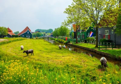 Top Hidden Gems in the Dutch Countryside
